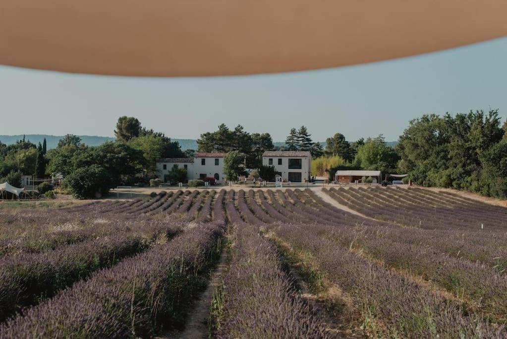 Terre Ugo - Studio Campagne Aixoise #6 Αιξ-αν-Προβάνς Εξωτερικό φωτογραφία