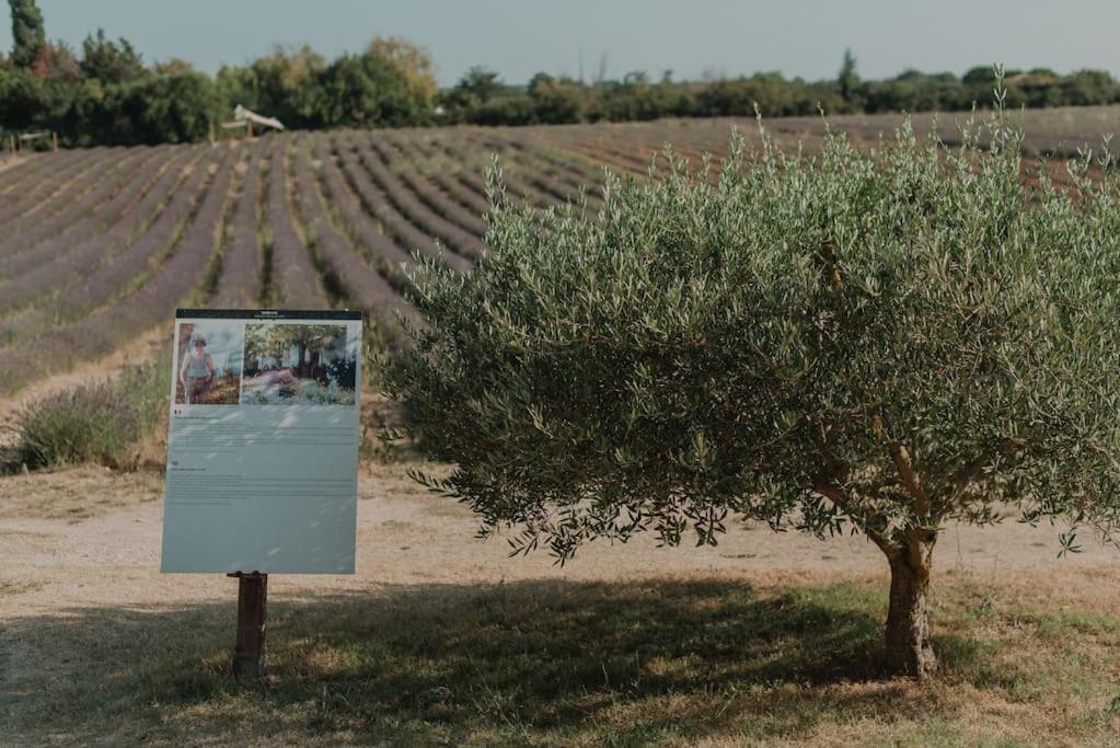 Terre Ugo - Studio Campagne Aixoise #6 Αιξ-αν-Προβάνς Εξωτερικό φωτογραφία